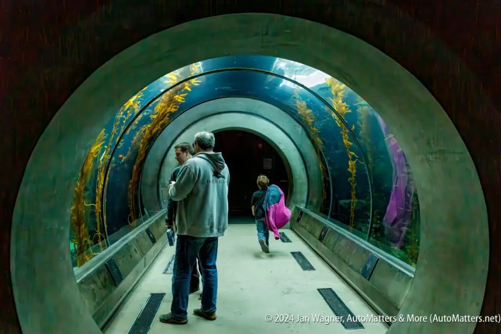 Two people walking through an aquarium tunnel.