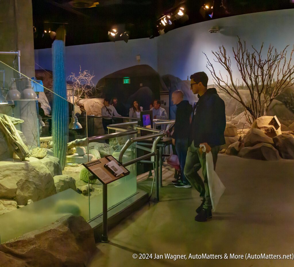 A group of people looking at a display of rocks and fossils.