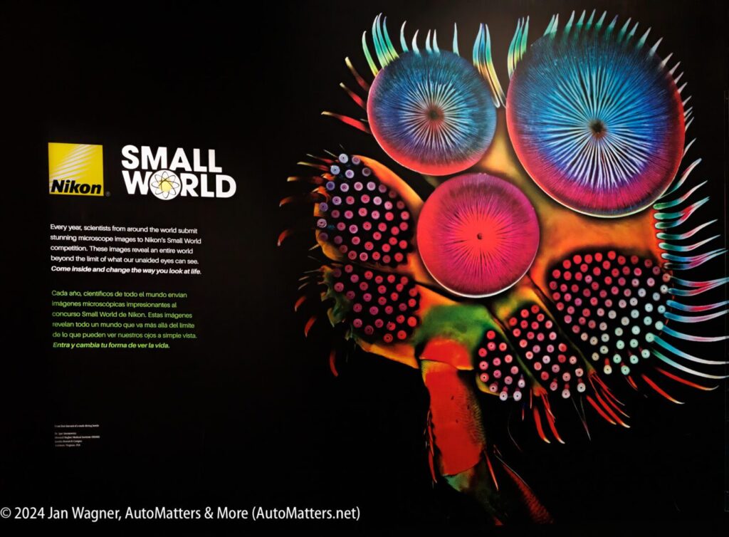 The small world exhibit at the niagara falls museum of art.