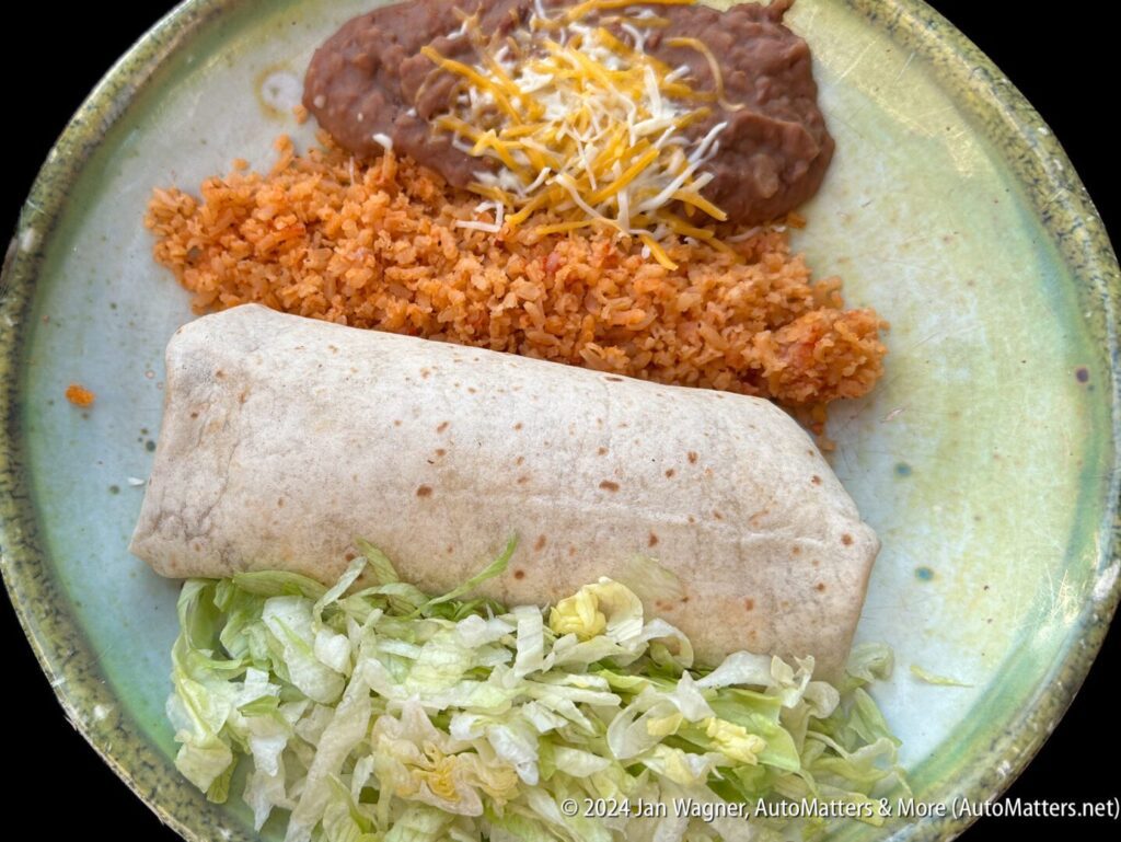 A plate with a burrito and rice on it.
