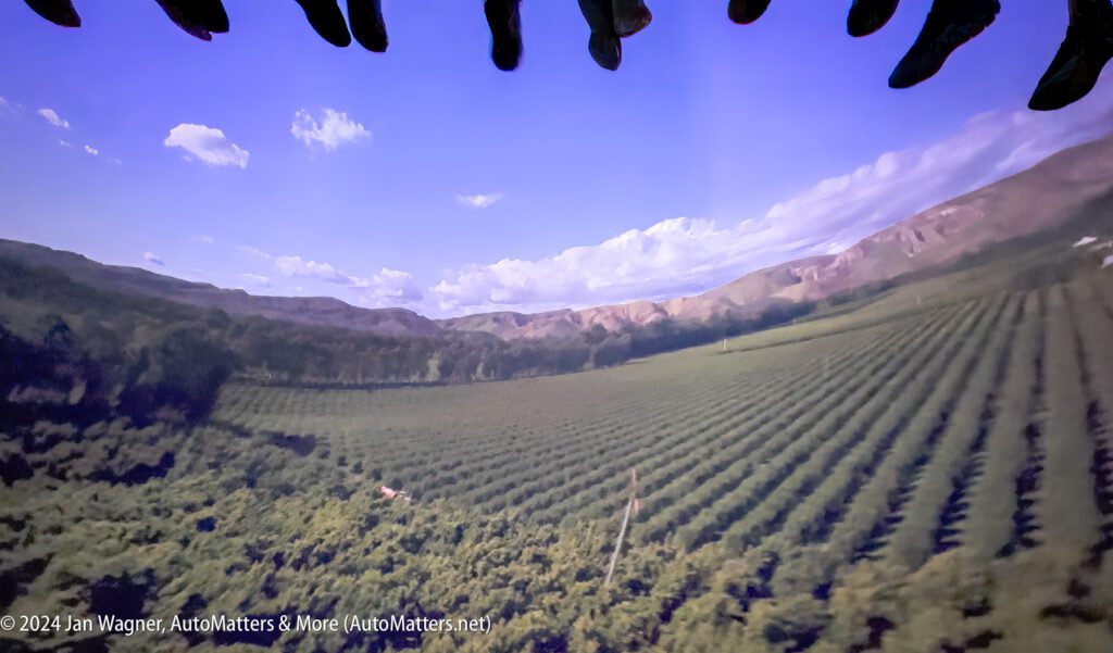 A view of a vineyard from the top of a plane.