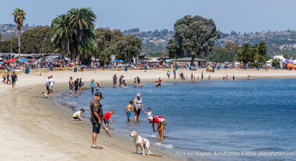 People and dogs gather along a sandy beach with palm trees, swimming, playing, and relaxing near the water; crowds are visible in the background on a sunny day.