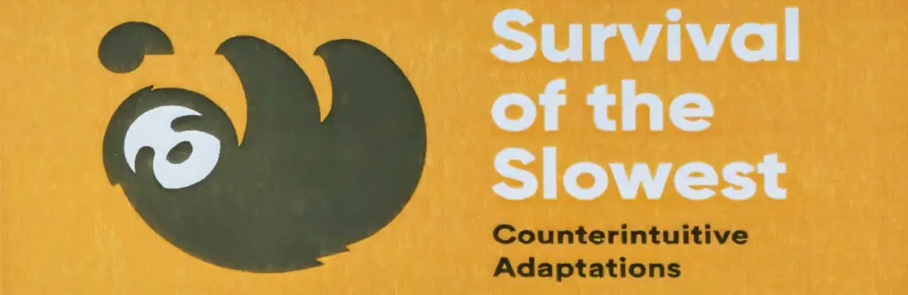 Illustration of a sloth next to the text "Survival of the Slowest: Counterintuitive Adaptations" on a yellow background.
