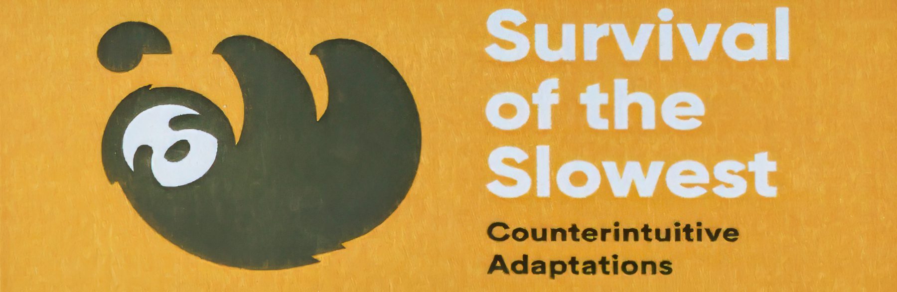 02413-20250529 Fleet Science CenteróNew exhibitóSurvival of the SlowestóVIP & Press reception+evening walk around Balboa Park-R1 Illustration of a sloth next to the text "Survival of the Slowest: Counterintuitive Adaptations" on a yellow background.