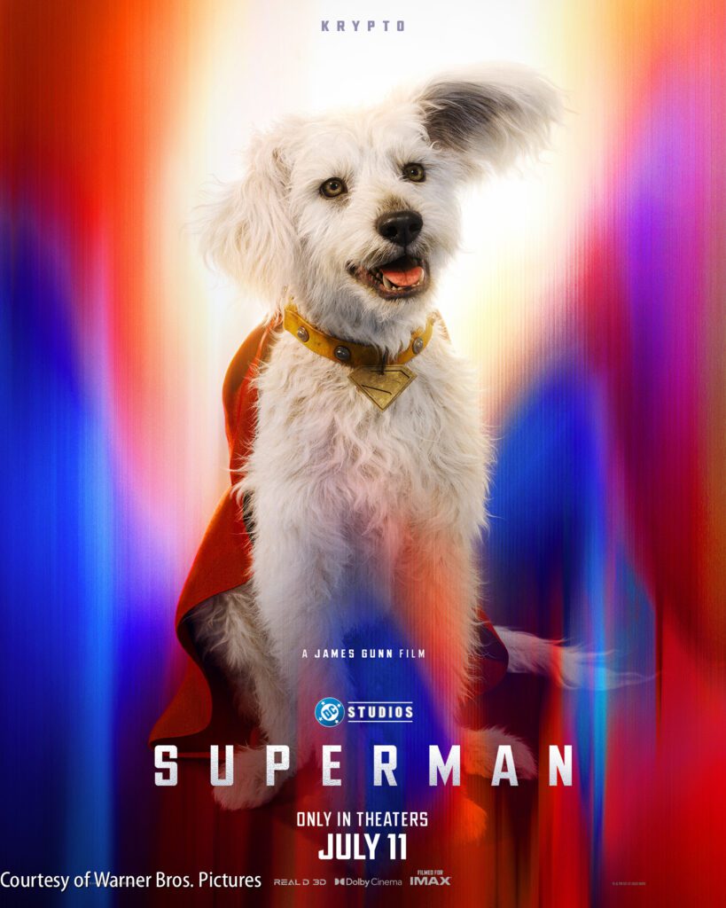 A white dog wearing a red cape and gold collar sits in front of a colorful, blurred background with text promoting the film "Superman," releasing July 11.