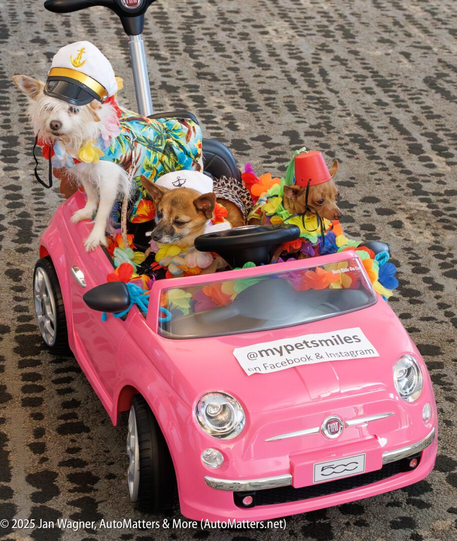 Three small dogs wearing costumes sit in a pink toy car decorated with leis and a sign promoting @myPetsmiles on Facebook and Instagram.
