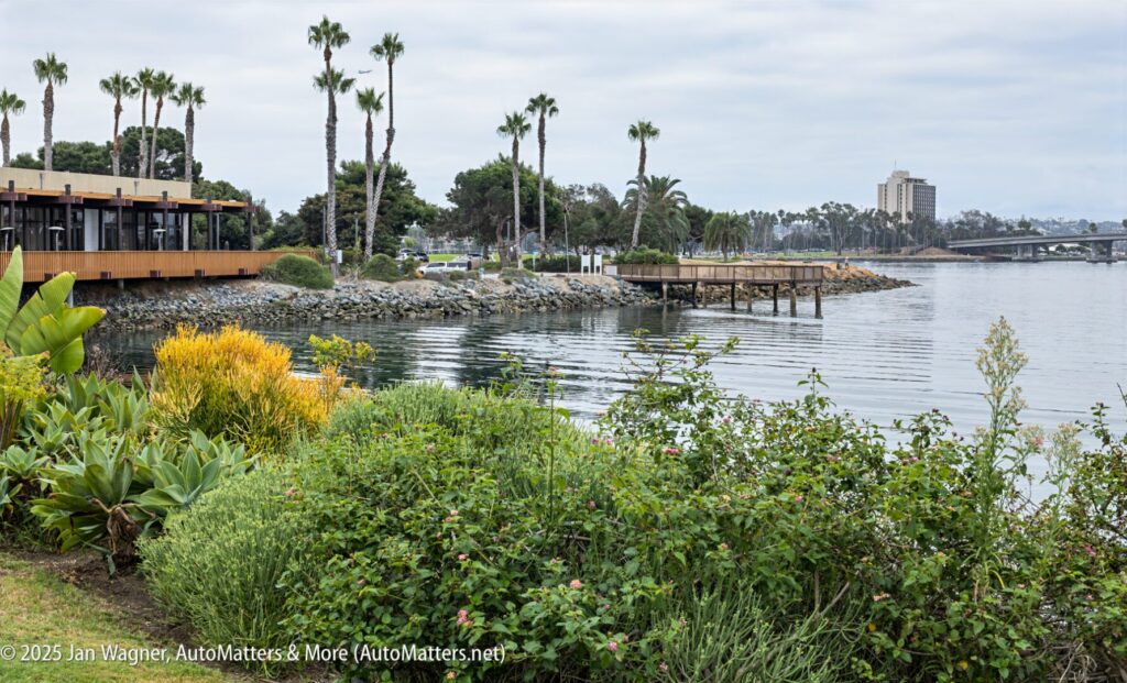 A waterfront area with plants in the foreground, a building on the left, a wooden pier, palm trees, and a bridge with a tall building in the background under a cloudy sky.