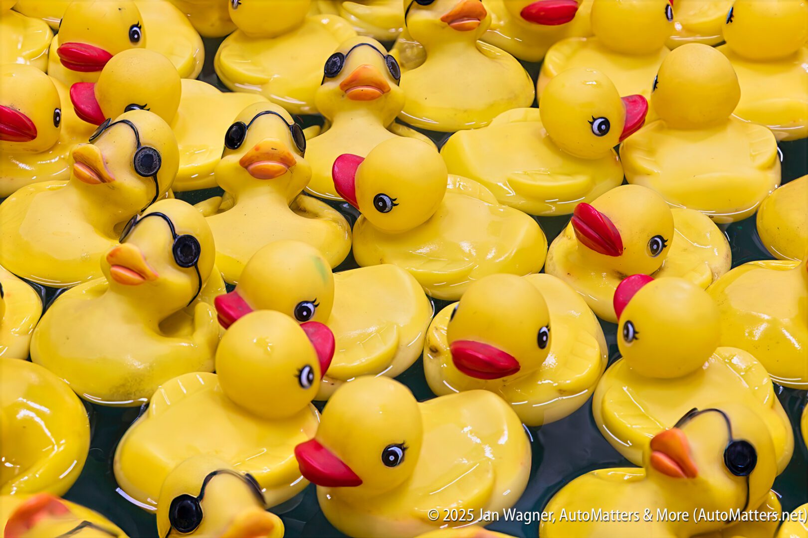 A group of yellow rubber ducks with red beaks and black eyes float in water; some ducks have sunglasses.