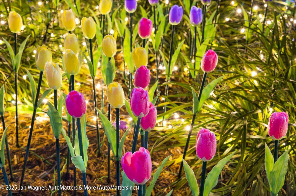 Colorful tulips in shades of pink, yellow, and purple are surrounded by green grass and illuminated by small string lights at night.