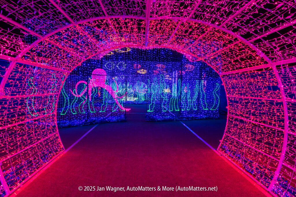 A tunnel of pink and purple LED lights leads to illuminated sea creature displays, including an octopus and jellyfish, at a nighttime light exhibit.