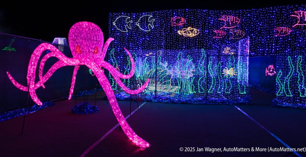 A large pink octopus and various sea creatures are depicted with colorful LED lights in an underwater-themed light display at night.