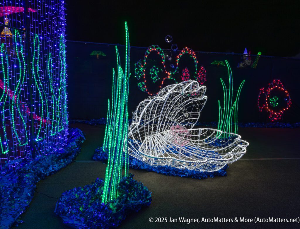 A large clam shell made of white lights is displayed among green and blue light decorations at a nighttime light exhibit.
