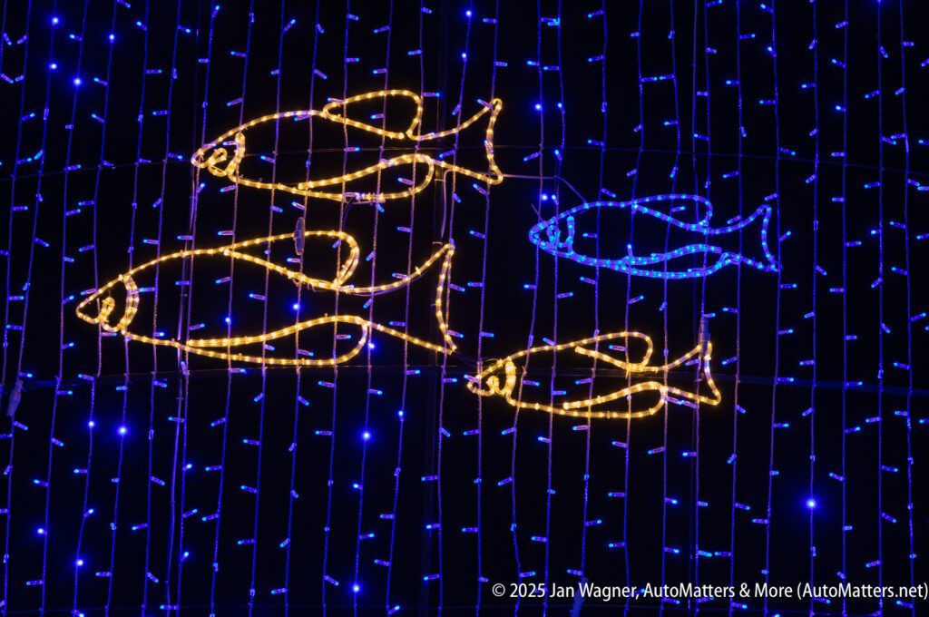 Five fish outlined in yellow and blue lights are displayed against a backdrop of vertical blue light strands.