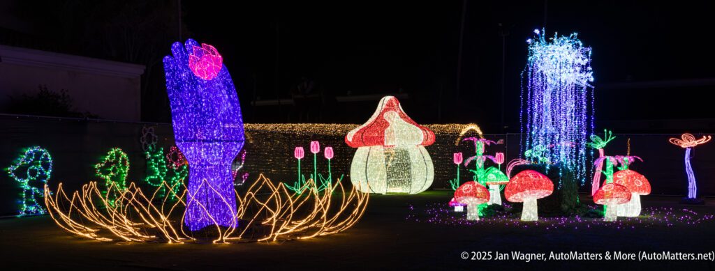 Colorful illuminated sculptures of flowers, mushrooms, and other plants displayed outdoors at night for a light show.
