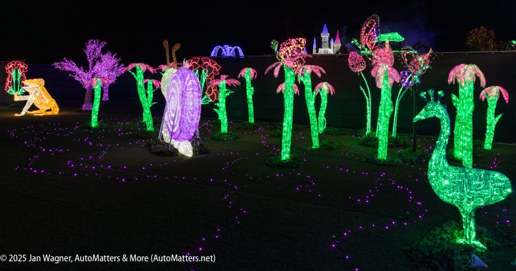A nighttime scene of illuminated animal and plant sculptures, including birds and trees, glowing in various colors at an outdoor light display.