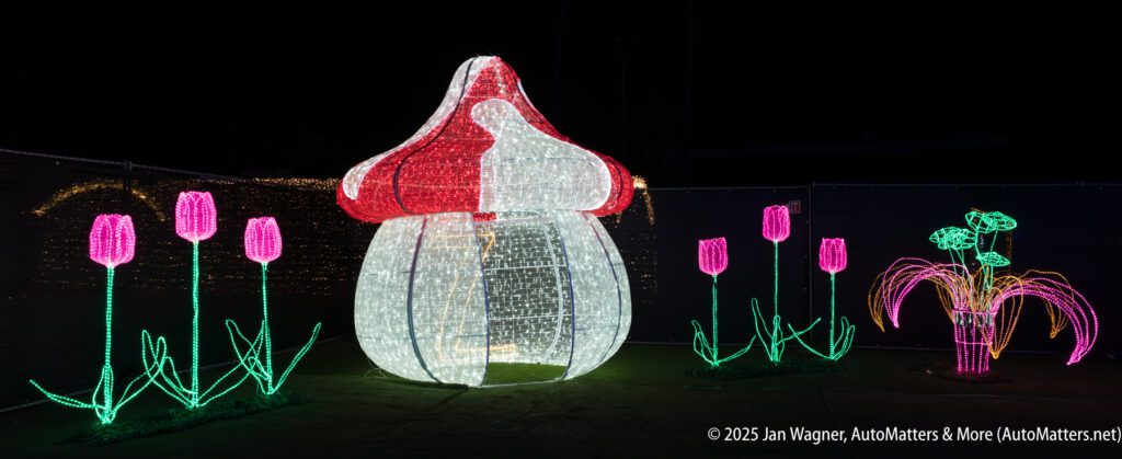 Illuminated light sculptures depict a large red and white mushroom, pink tulips, and another floral arrangement against a dark background at night.