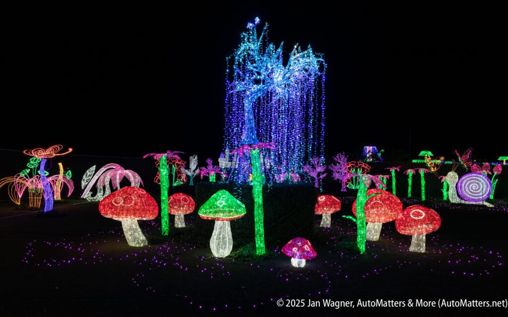 Colorful illuminated sculptures of mushrooms, plants, and trees arranged outdoors at night, with various lights glowing in red, green, pink, purple, and blue tones.