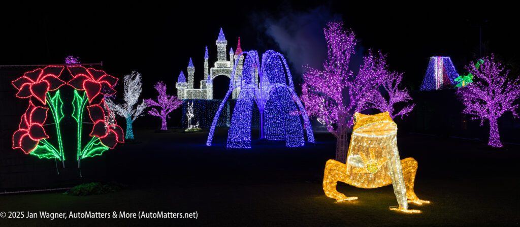 Nighttime display of illuminated figures, including a frog, castle, and flowers, with trees wrapped in purple lights in the background.