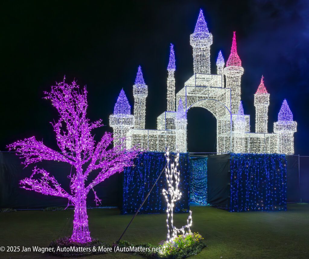 A castle and tree are illuminated with multicolored holiday lights against a dark night sky.