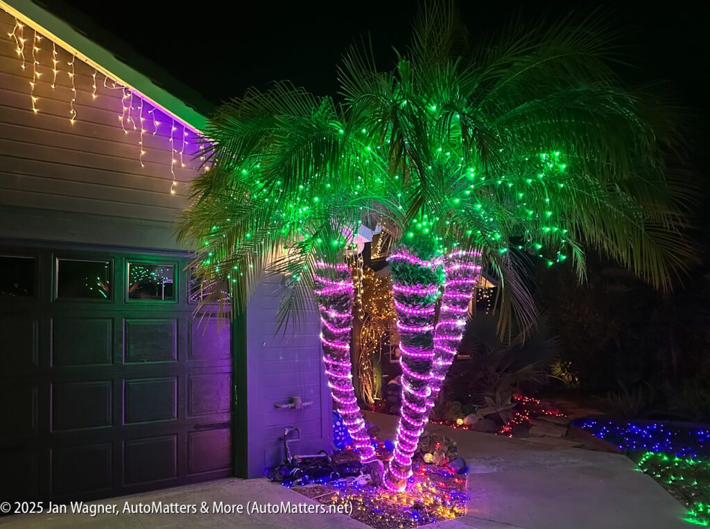 Palm trees wrapped with pink and green string lights are illuminated outside next to a garage adorned with hanging yellow holiday lights at night.