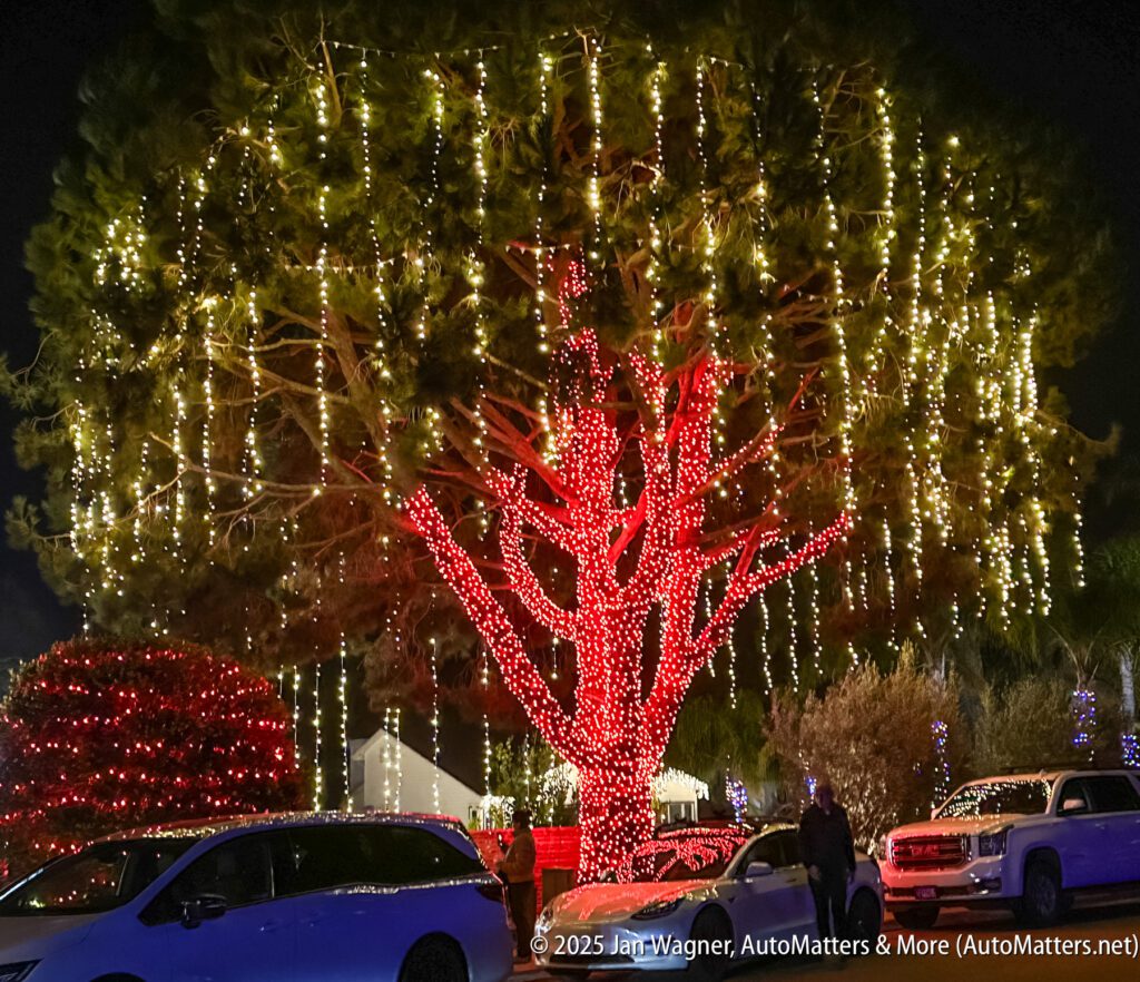 A large tree wrapped in red and white holiday lights with cars parked nearby at night.