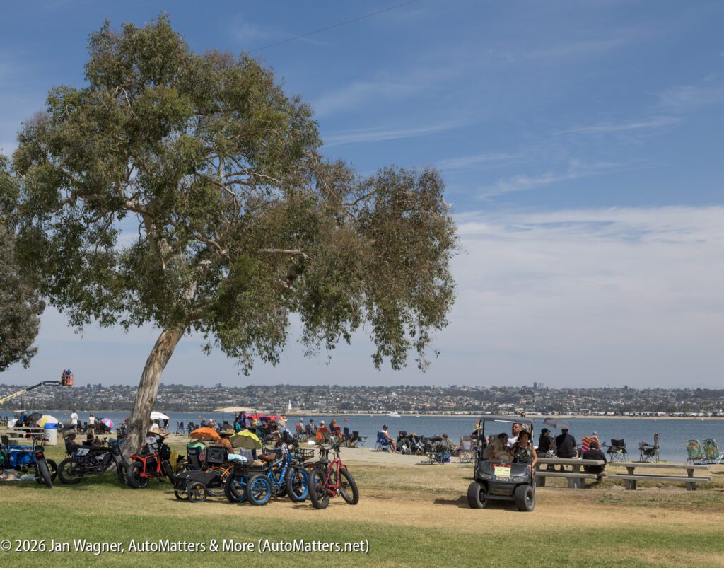 People gathered on a grassy waterfront park with bicycles, folding chairs, and a golf cart under a large tree, with a cityscape across the bay in the background.